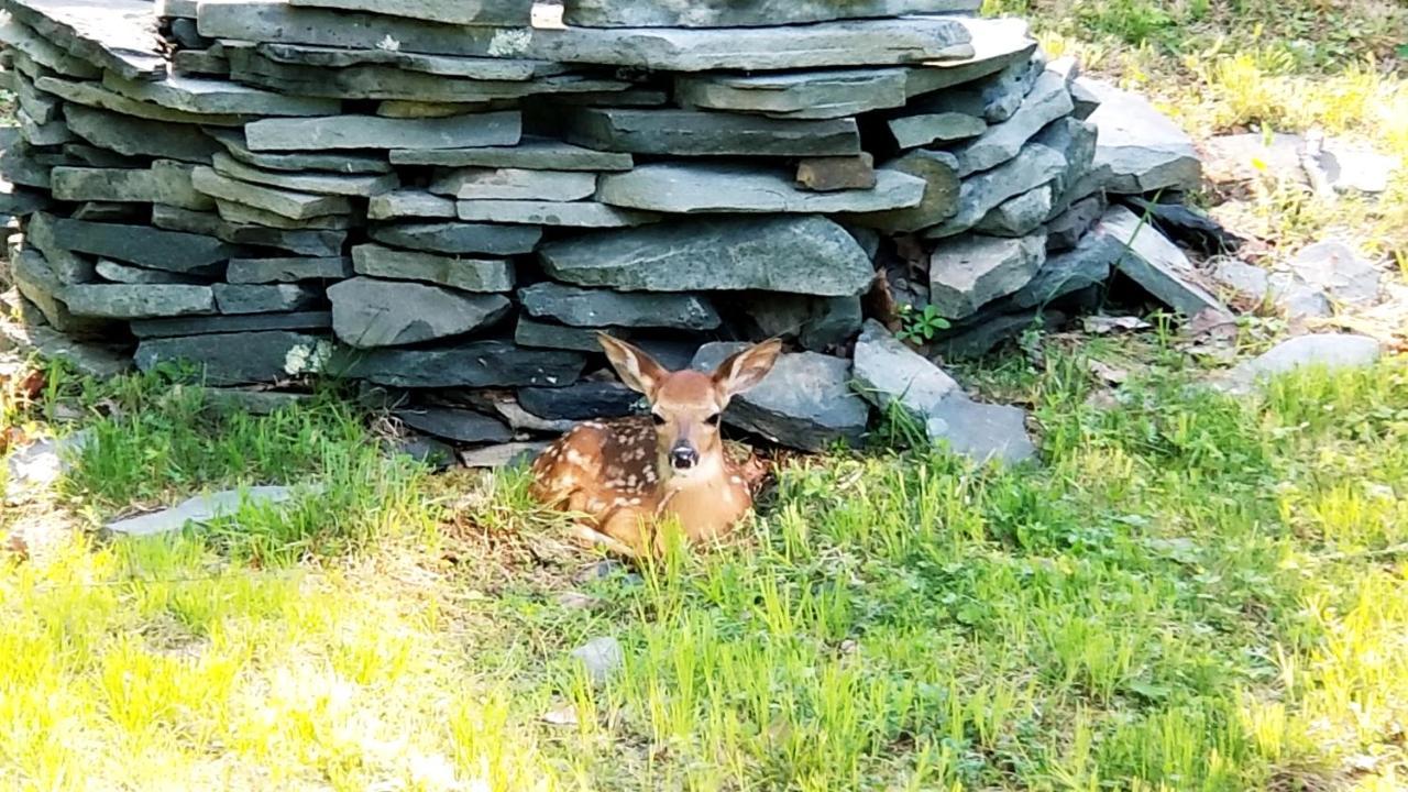 The Pocono'S Retreat With A Gameroom, Firepit, And Lake Bushkill Exteriör bild